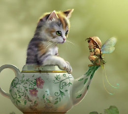 I gatti al Salone del Libro: impossibile non  parlare anche di loro