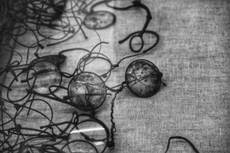 "È camminare su una terra che trattiene ogni passo di chi non è mai tornato.": la toccante restituzione degli studenti di Bra del viaggio di memoria