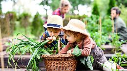 Slow Food Day a Bra: il futuro del cibo passa dal "Mercato della Terra"