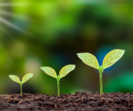 Spazzamondo 2025: la rivoluzione verde parte da Cuneo