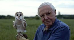 I capolavori di David Attenborough da vedere prima di Ocean