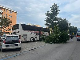 Torino, albero su bus di studenti: 5 feriti FOTO E VIDEO