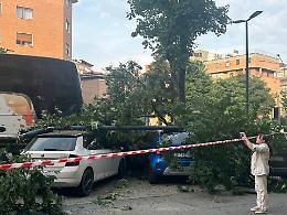 Bus contro albero, cosa è successo in corso San Maurizio?