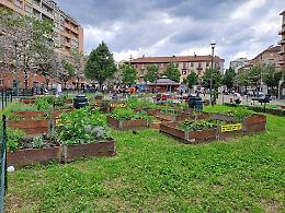 Gli Orti in Piazza Risorgimento: un weekend di cultura, integrazione e comunità