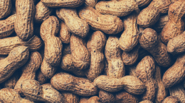Frutta secca o legume? Il sorprendente segreto delle arachidi