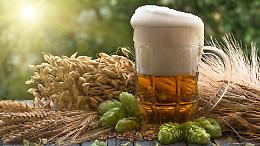 Birre low e analcoliche, boom del 13,4% secondo Assobirra