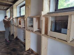 A Trecastagni nasce il primo apiario indoor d’Europa: un’esperienza unica per cenare immersi tra le api