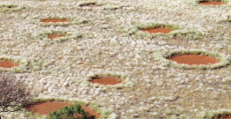 Il mistero dei "cerchi delle fate": geometrie perfette nel cuore del deserto