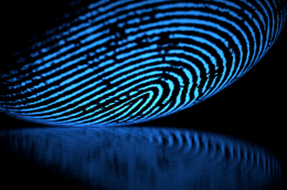 Quanto dura un’impronta digitale? Dipende dai materiali e dalla sudorazione