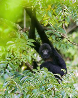 22 maggio: Giornata Mondiale della Biodiversità