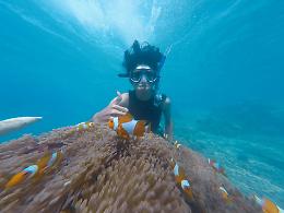 Snorkeling: guida pratica per esplorare il mare con rispetto e consapevolezza