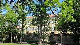 Il Parco Spurgazzi a Caluso: un esempio di gestione sostenibile del patrimonio arboreo cittadino