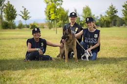 A Mirafiori e Santa Rita arrivano le guardie zoofile: un aiuto per i cani e i loro padroni