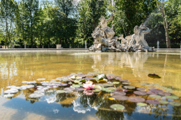 Ma che ci fanno le ninfee di Monet nella fontana dei Giardini Reali di Torino?
