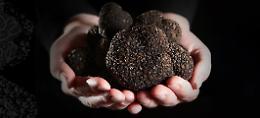 Murisengo si trasforma nel regno del Tartufo Nero: arriva la prima Fiera Nazionale “Trifola nOir”!