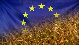 Agricoltura Ue, l'Italia guida la rivolta: "No al fondo unico, serve un bilancio dedicato"
