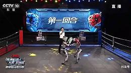 In Cina il primo torneo di boxe tra robot umanoidi