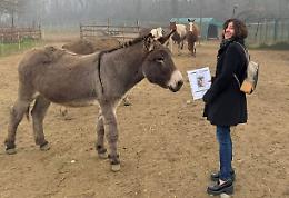 Animali salvati, il Piemonte apre la strada: 30 mila euro ai Santuari