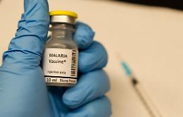 Malaria: scoperte finalmente le “chiavi segrete” che il parassita usa per invadere le cellule umane