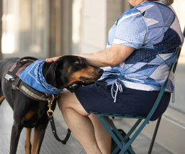 Pet therapy in Canavese: un viaggio emozionale tra cani e pazienti psichiatrici