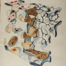 Quando la scienza diventa arte: UniTo apre gli archivi storici delle tavole didattiche 