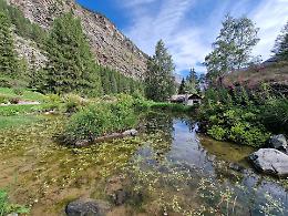 Paradisia compie 70 anni: il Giardino Botanico Alpino che incanta il Gran Paradiso riapre per una stagione da non perdere