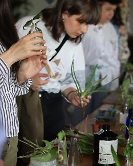 Sei mai stato a uno scambio di talee? Aperitalea torna all'Imbarchino