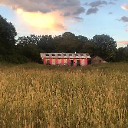 Estate a Mirafiori: 127 eventi per trasformare il quartiere in un’esplosione di musica, arte e cultura
