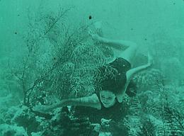 CinemAmbiente: anche i film hanno un'anima green