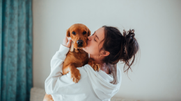 Il cane batte il partner: per molti americani è lui il vero amore di casa