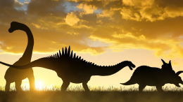 Scoperto un tumore in un fossile di dinosauro che potrebbe rivoluzionare l’oncologia