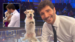 Ecco chi è Gennarino, la vera star di Affari Tuoi