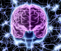 Reabilitamente: un nuovo approccio per contrastare il declino cognitivo a Torino