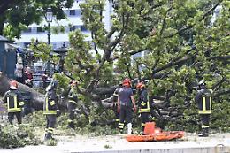 Tragedia a Venezia, albero cade addosso ai turisti, 12 feriti la maggior parte donne e in condizioni gravi