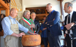 Parmigiano Reggiano da record: aperta una forma stagionata oltre 27 anni ancora commestibile