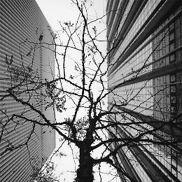 Luce e ombra in bianco e nero: le fotografie di Monica Chiappara in mostra a Chieri