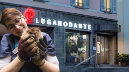 Hotel per api e ricci: la Svizzera punta sull’ospitalità sostenibile