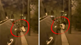 I "cannibali" delle auto colti sul fatto - GUARDA IL VIDEO 