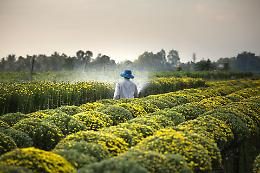 Irrigazione agricola e resilienza delle falde acquifere: lo studio che cambia la prospettiva