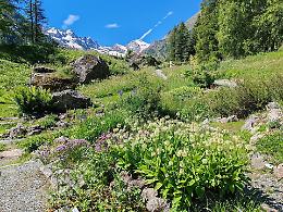 Stop alla plastica sulle vette: il Gran Paradiso celebra la Giornata Mondiale dell’Ambiente 2025