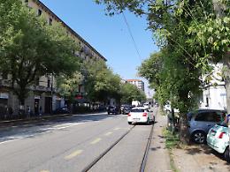 Nuovi alberi per Torino: la petizione organizzata in Corso Belgio supera la quota minima di firme