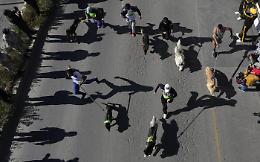 "PETS! Storie di un amore incondizionato": il ritorno dell'evento dedicato agli animali d'affezione