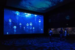 Acquario di Genova, arriva il robot che parla coi visitatori