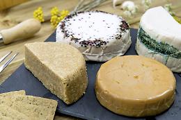 Boom dei prodotti plant-based in Italia: +45% per i formaggi vegetali