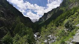 Sentiero Verde 2025: un viaggio tra natura e storia nella Val Pellice