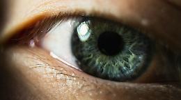Rigenerare la vista è (quasi) possibile: la scienza sfida i limiti del corpo umano