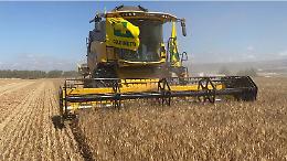 La Terra si difende, ma l’agricoltura crolla: metà dei raccolti a rischio