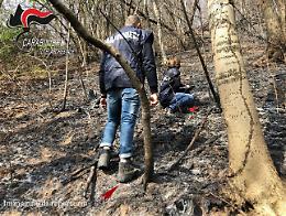 Trovato volto del colpevole dell'incendio boschivo tra Baldissero Canavese e Vidracco: ecco le dinamiche dell'evento