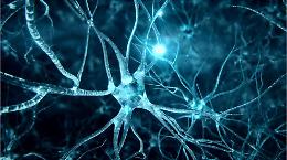 Un impianto cerebrale traduce i pensieri di un malato di SLA in parole: la nuova frontiera della comunicazione
