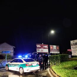 Comune di Asti sotto accusa per danni ambientali causati dall’abbattimento di platani secolari